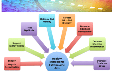 The Gut – Estrogen Connection