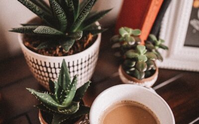 Setting Intentions Can Help You Achieve Your Goals